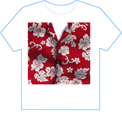 hawaiin.png