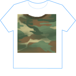 Camo.png