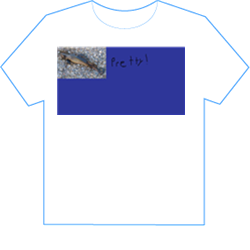 dead fish XD.png